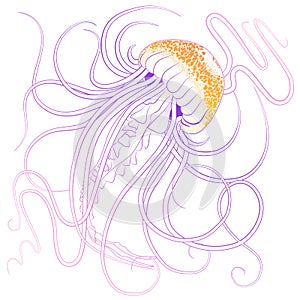 Pink purple outline jellyfish in tattoo style with orange stipples vector