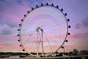 Pink Purple Sky at Singapore Flyer