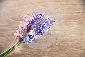 Pink and purple spring flower on table