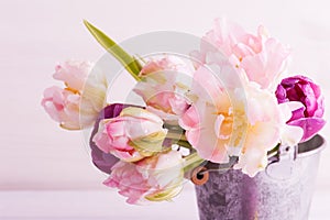 Pink purple tulips in tin bucket