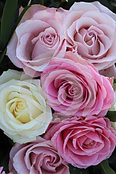 Pink,purple and white wedding roses