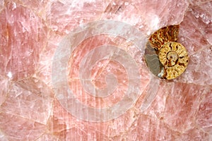 Pink Quartz texture