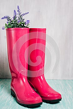 Pink rain boots with spring flowers