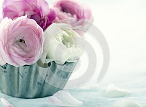 Pink ranunculus flowers