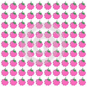 Pink Raspberries Fresh Pattern Texture Wallart