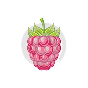 Pink Raspberry Illustration with Green Leaves on White Background