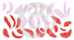 Pink and red feathers. Realistic flamingo fluffy plumage, parrot and exotic bird feather isolated collection. Bright