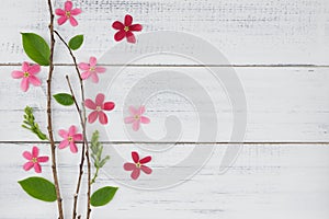 Pink and red flowers with branch and green leaves