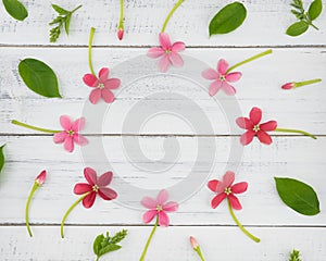 Pink and red flowers with green leaves