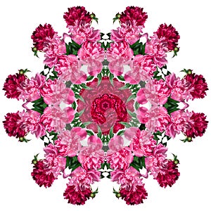 Pink and red peony flowers in the form a kaleido