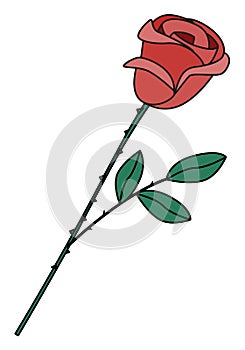 Pink red rose flower. Cute romantic Valentines day doodle cartoon hipster style vector illustration isolated on white