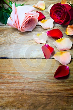 Pink and red roses with petals on the old wood, copy space.