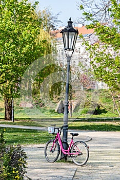 Pink Rental Bike Parked in Prague Spring