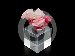 Pink rhodonite mineral on black background