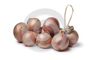 Pink Roscoff onions