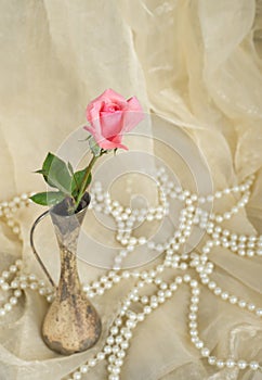 Pink rose in an antique silver vase with pearls