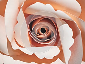 Pink rose Art paper craft decoration love concept Background