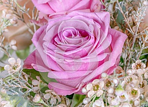 Pink rose blossom in a bouquet
