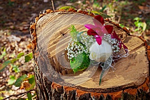 Pink rose boutonniere on black suit