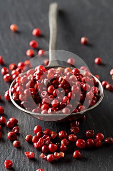 Pink or rose brazilian red peppercorns schinus terebinthifolius in metal spoon on black background