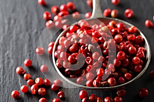 Pink or rose brazilian red peppercorns schinus terebinthifolius in metal spoon on black background