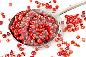 Pink or rose brazilian red peppercorns schinus terebinthifolius in metal spoon over white