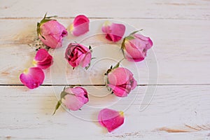 Pink rose buds on white wood