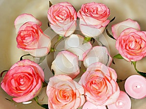 Pink rose, candles and petal floating water in bowl. Relaxing Hand Spa