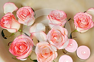 Pink rose, candles and petal floating water in bowl. Relaxing Hand Spa