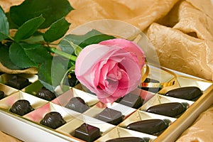 Pink rose and chocolate box
