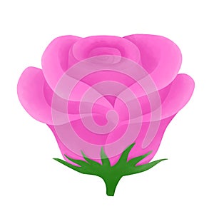 pink rose clipart