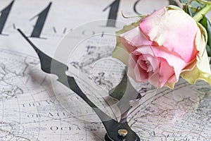 Pink rose on a clock face, clock hands