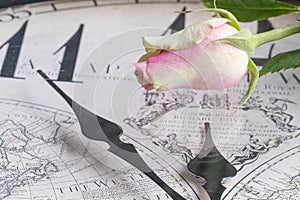 Pink rose on a clock face, clock hands