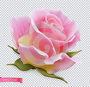 Pink rose 3d vector object