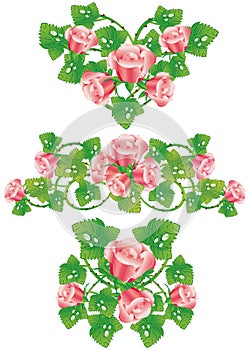 Pink rose design elements photo