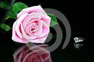 Pink Rose with Diamond Ring