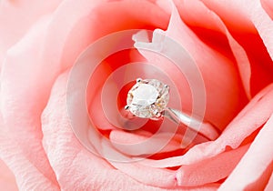 Pink Rose and diamond ring nestled inside