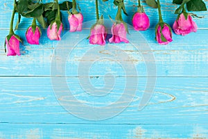 Pink rose flower on blue wood table background with copy space for text. Love, International Women day, Mother day and Happy