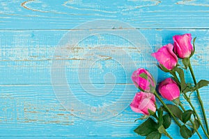 Pink rose flower on blue wood table background with copy space for text. Love, International Women day, Mother day and Happy