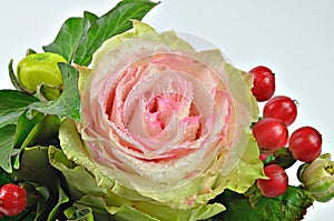 Pink Rose flower with Dew drops and red Berries