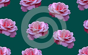 Pink Rose flower floral seamless pattern ornamental textile paper print wallpaper decorative design vector