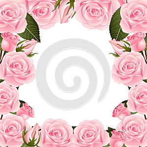 Pink Rose Flower Frame Border. isolated on White Background. Vector Illustration