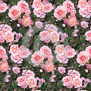 Pink rose flower garden grass summer nature seamless pattern texture background