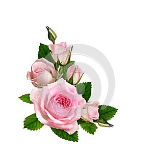 Pink rose flower and green leaves in corner romantic arrangement