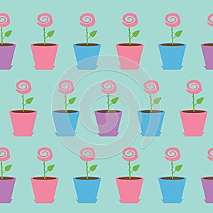 Pink rose flower in pot. Seamless Pattern Wrapping paper, textile template. Blue background. Flat design.