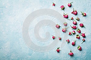 Pink rose flowers on blue vintage table top view in flat lay style.