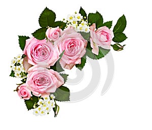 Pink rose flowers and buds in a corner arrangement isolated on white background