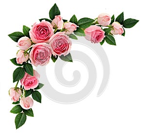 Pink rose flowers and buds corner arrangement photo