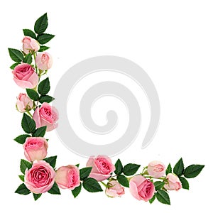 Pink rose flowers and buds corner arrangement