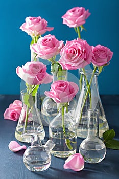 Pink rose flowers in chemical flasks over blue